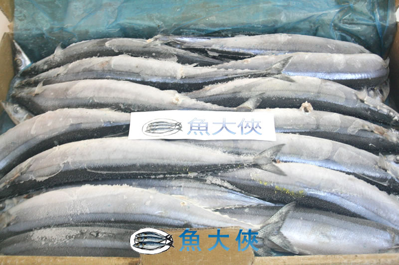魚大俠】FH035特號級肥美秋刀魚(5尾/包)_秋刀魚/柳葉魚_鮮魚類_